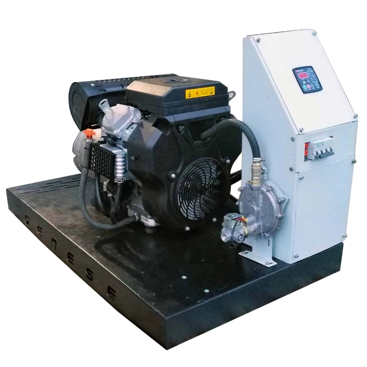 Газовый генератор GENESE STANDARD 10000 (открытое исполнение)