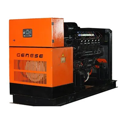 Газовый генератор GENESE GE230