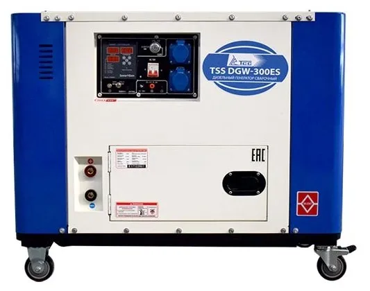 Дизельный сварочный генератор TSS DGW-300ES